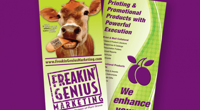Best Flyer Ideas
