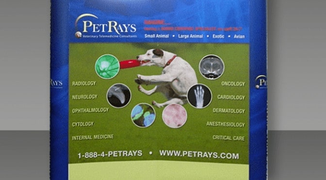 Portable Trade Show Display
