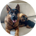 Bear and Tilly