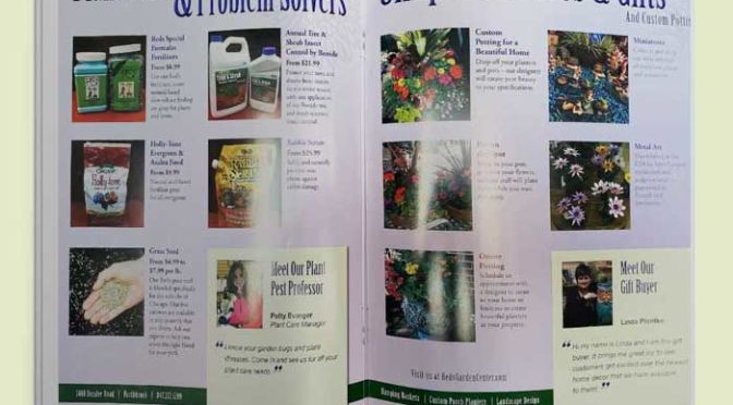 Catalog