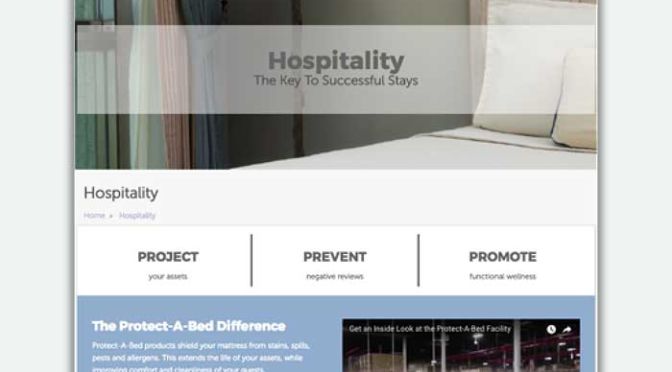 B2B Web Design