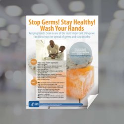 Stop Germs! Wash Your Hands! Window Cling