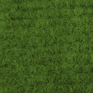 Green Carpet-in-a-case
