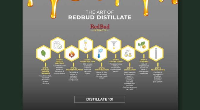 Infographics Design
