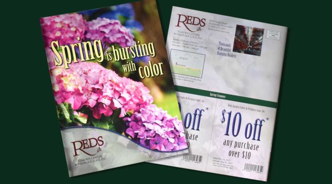 Direct Mail Catalog
