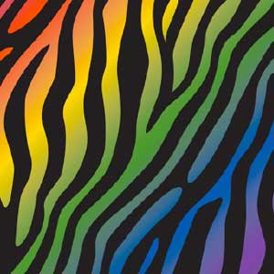 Rainbow Zebra Face Masks 07