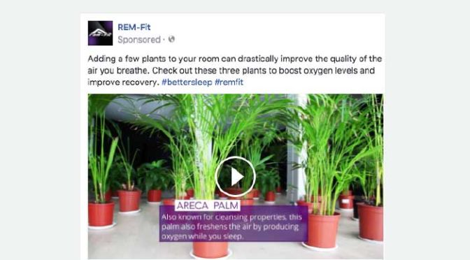 Social Media Videos
